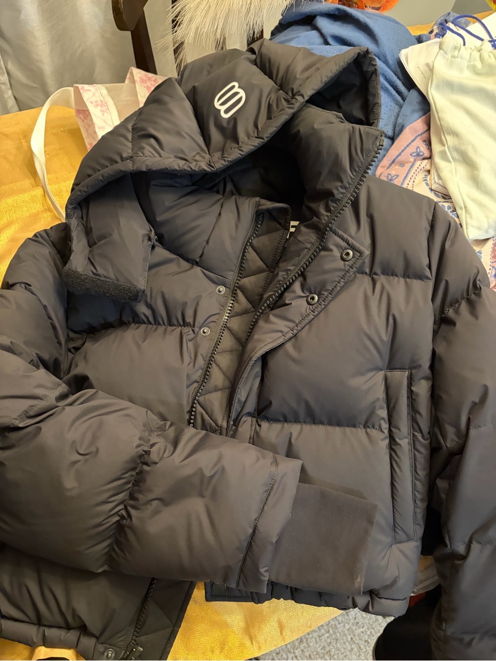 Aritzia Black Hooded Puffer Coat - Picture 1 of 4